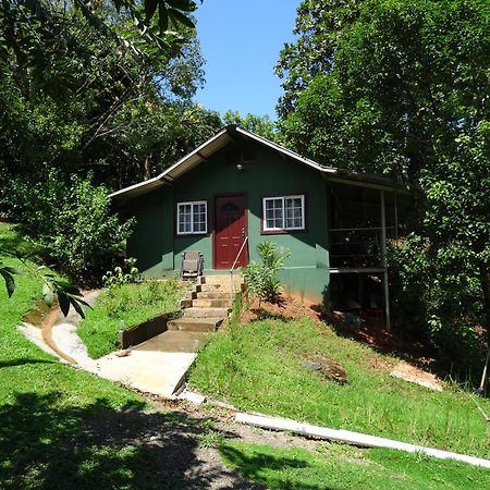 Los Pinos De Torio Exterior photo