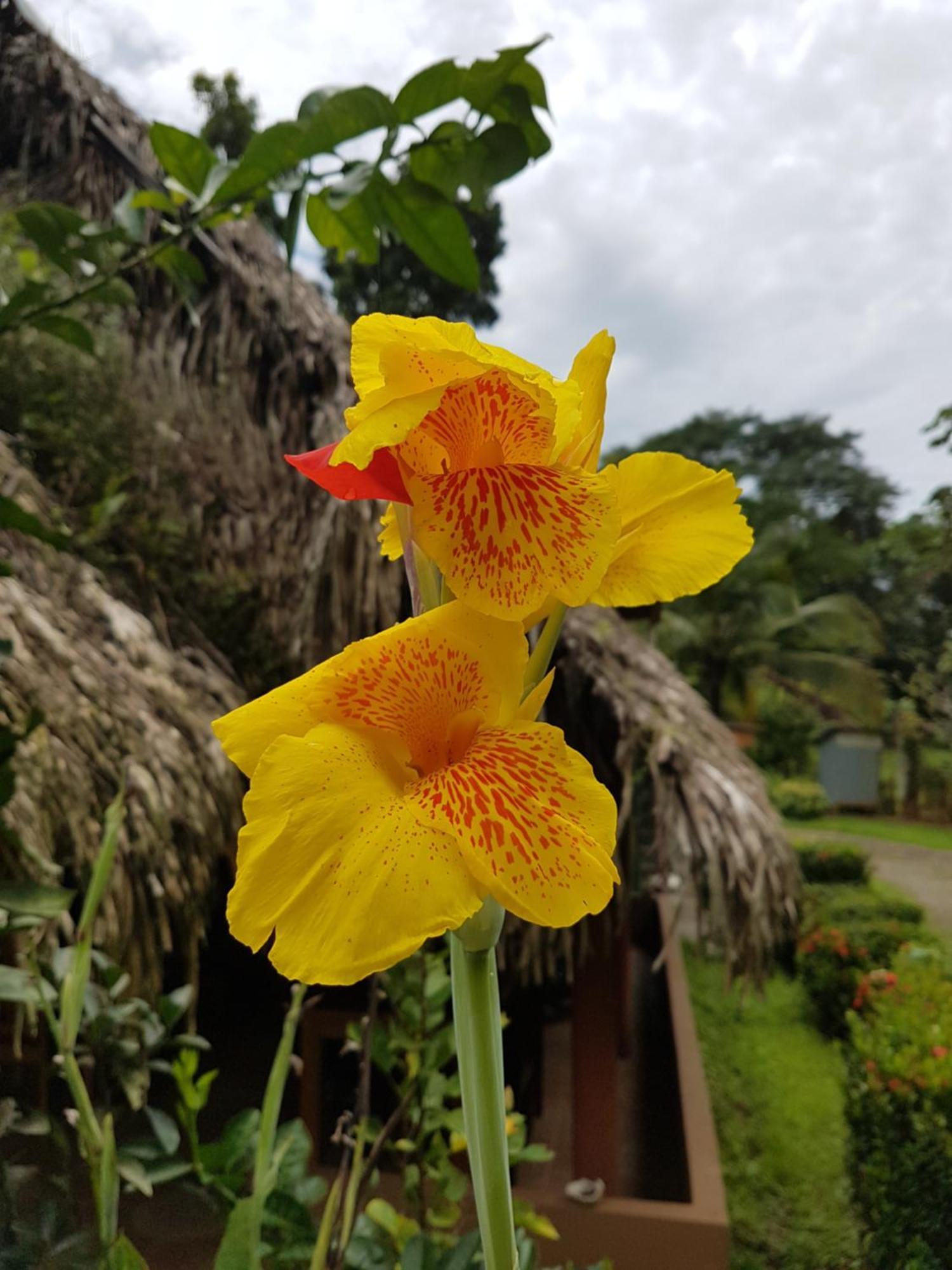 Los Pinos De Torio Exterior photo